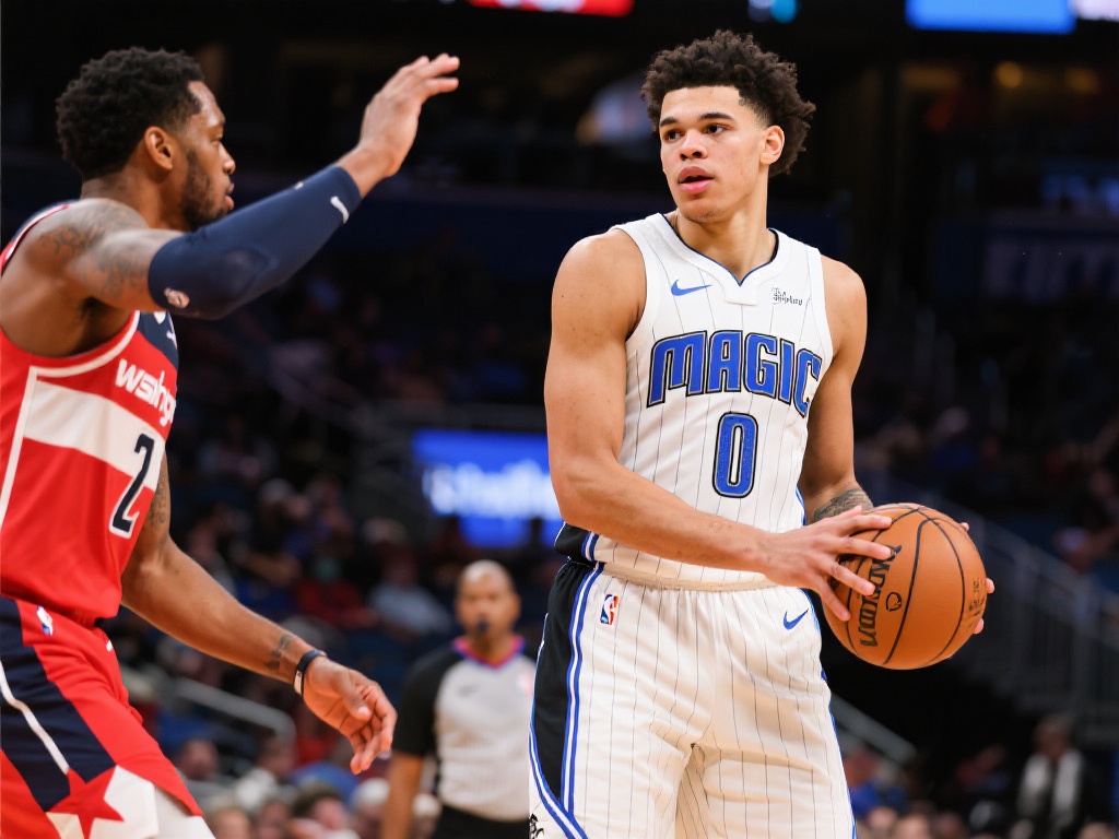 区域的分布 区域的分布