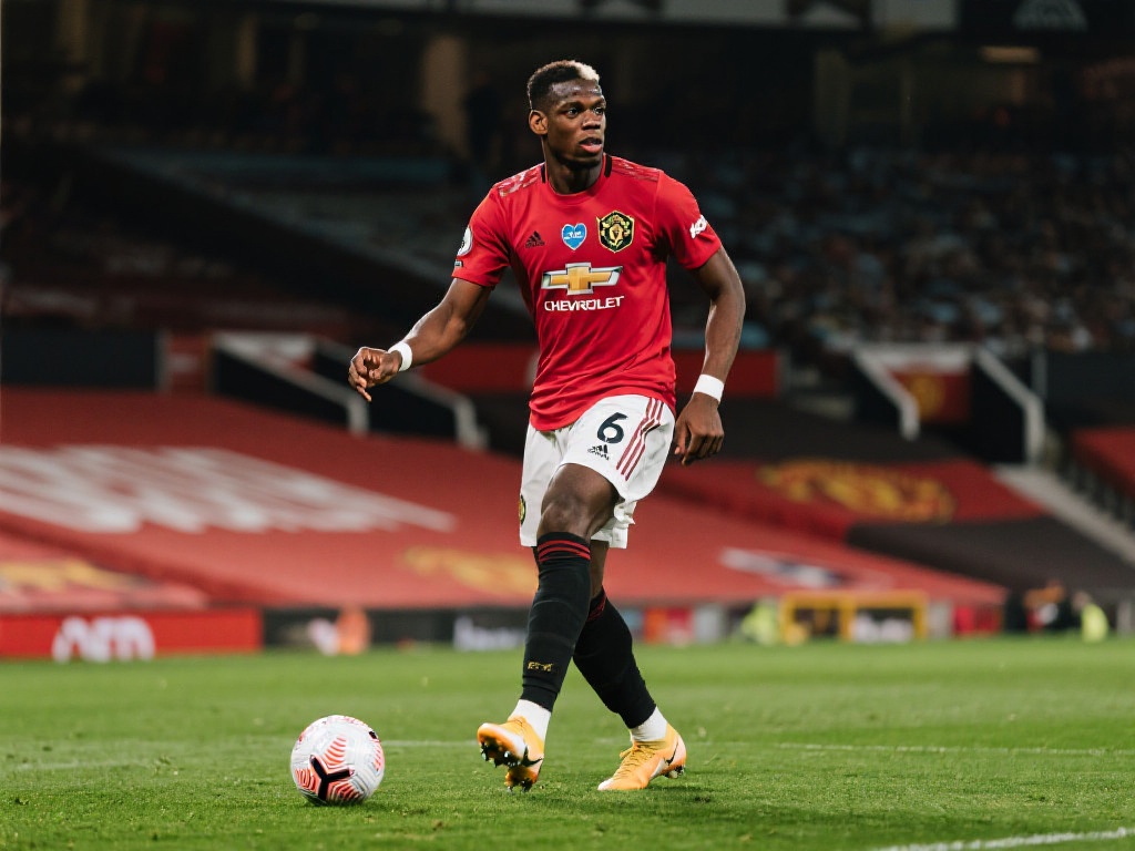 这些平台通 这些平台通