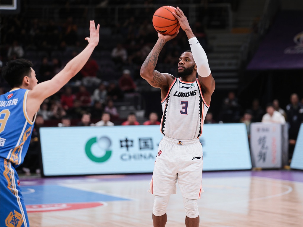 功能的用户 功能的用户